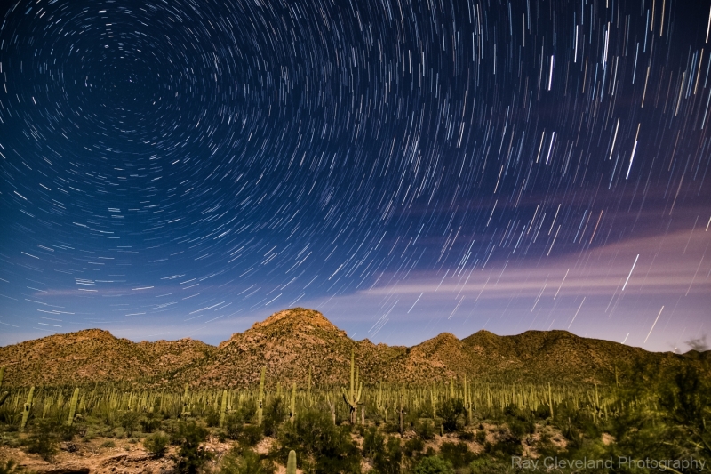 Star trails over Saguaro National park West