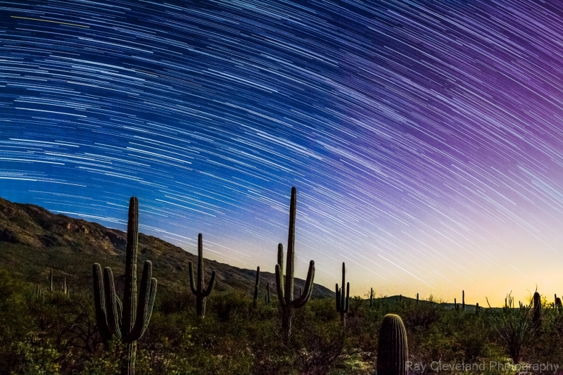 Star Trails and Saguaros