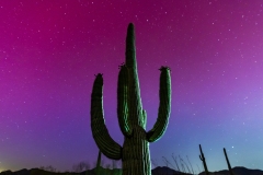 Aurora Borealis in Arizona!