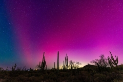 Aurora Borealis in Arizona!
