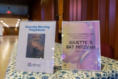 2024-09-21-juliets-bat-mitzvah-8009