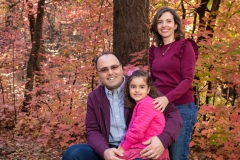 2024-11-01-Damad-Family-Session-Bear-Wallow-027