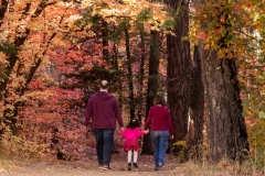 2024-11-01-Damad-Family-Session-Bear-Wallow-416