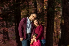 2024-11-01-Damad-Family-Session-Bear-Wallow-433