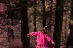 2024-11-01-Damad-Family-Session-Bear-Wallow-452
