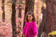 2024-11-01-Damad-Family-Session-Bear-Wallow-462