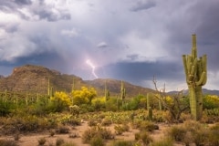 20230517-sabino-storm-chase-012-watermarked