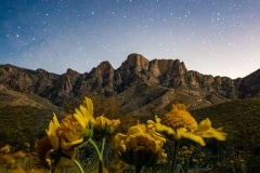 20230527-Catalina-State-Park-Stars-082-Edit-watermarked