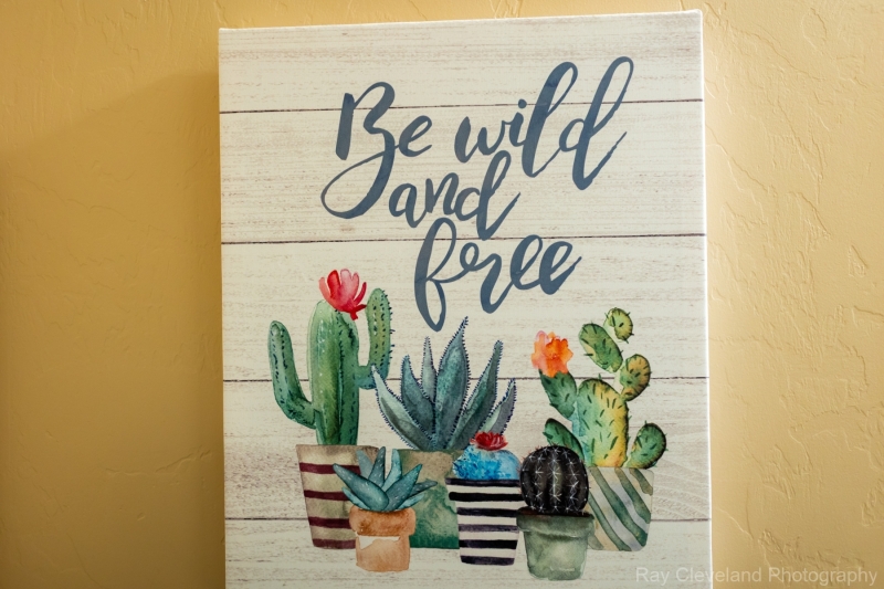 8763-E-Perry-Park-Cir-052