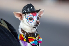 Cleveland_Ray_ASP2025_0215