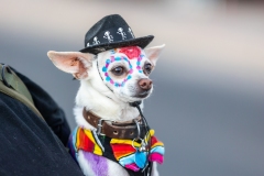 Cleveland_Ray_ASP2025_0216