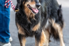 Cleveland_Ray_ASP2025_0228