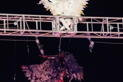 Cleveland_Ray_ASP2025_1045