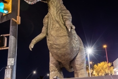 Dinosaur PPE