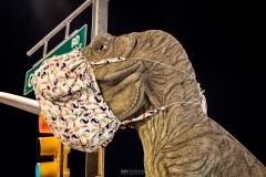 Dinosaur PPE