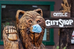 Madera Canyon Gift Shop Bear