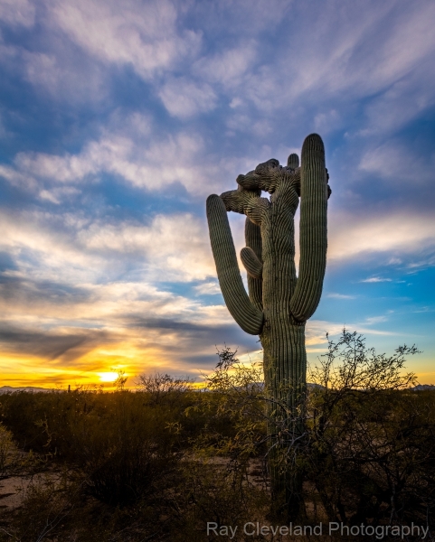 20220126-crested-sunset-010-HDR
