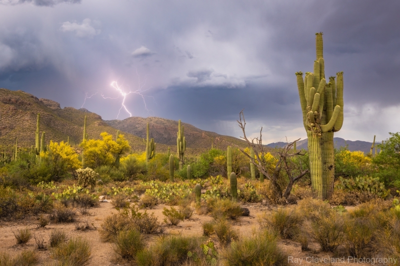 20230517-sabino-storm-chase-012