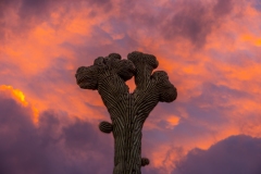 20210123-Double-Crested-Sunset-076-HDR