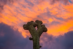 20210123-Double-Crested-Sunset-082-HDR