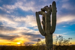 20220126-crested-sunset-010-HDR