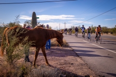 20191123-el-tour-de-tucson-481