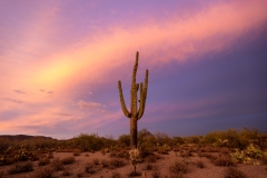20200709-kinney-sunset-032-HDR