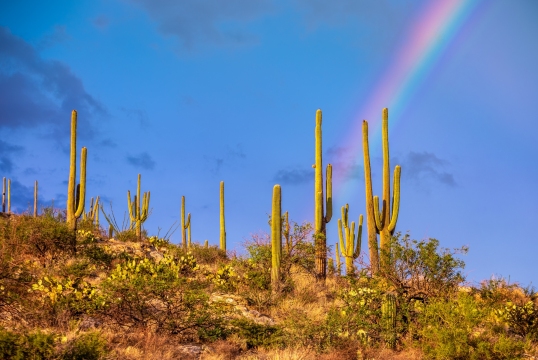 20210717-mount-lemmon-6d-023-HDR