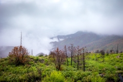20210724-mt-lemmon-abover-the-clouds-073-HDR