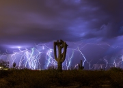 Stacked Lightning And Crested Saguaro