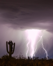 2022-07-20-tl- Crested Monsoon Lightning 6D-004