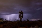 2022-07-20-tl-Crested-Lightning-R6-046