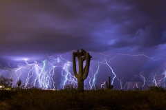 Stacked Lightning And Crested Saguaro