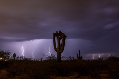 2022-07-20-tl- Crested Lightning R6-046