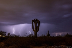 2022-07-20-tl-Crested-Lightning-R6-046