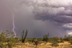 2022-07-30-tl ocotillo rain and lightning-096