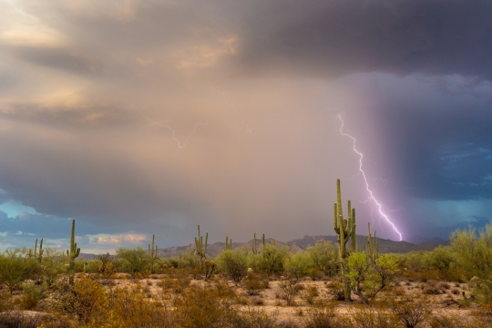 2023-07-24 TL 6D Marana Saguaro Lightning-005