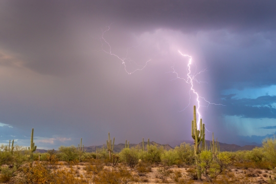 2023-07-24 TL 6D Marana Saguaro Lightning-015