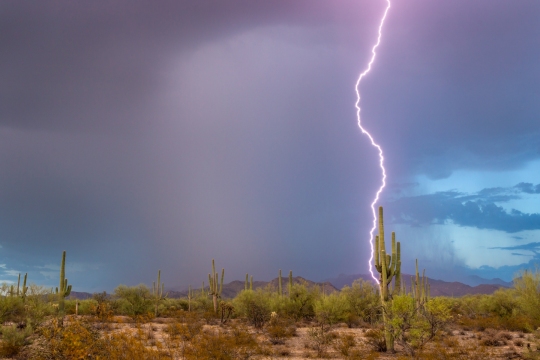 2023-07-24 TL 6D Marana Saguaro Lightning-064