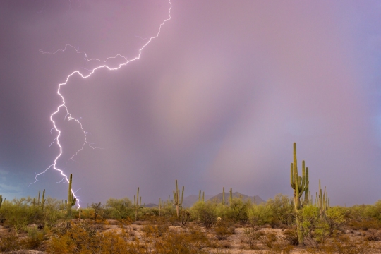 2023-07-24 TL 6D Marana Saguaro Lightning-149
