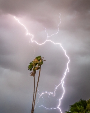 20230721-monsoon-165