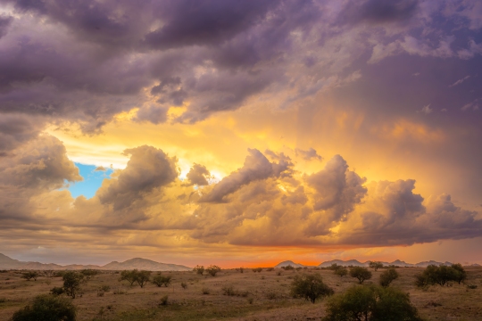 20230806-monsoon sonoita 6D-012-Enhanced-NR