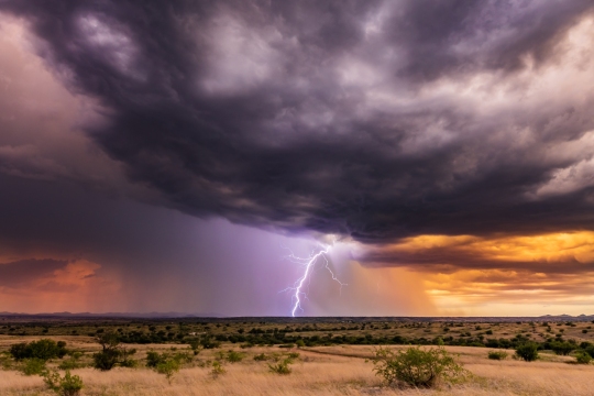 20230806-monsoon sonoita r6-117