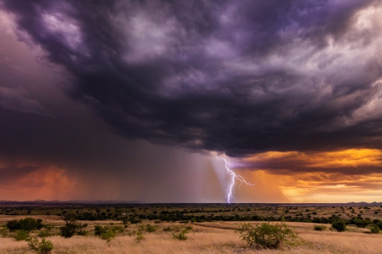 20230806-monsoon sonoita r6-133