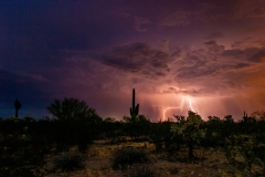 2023-08-16 TL Park Links Saguaro Storm 6D-280