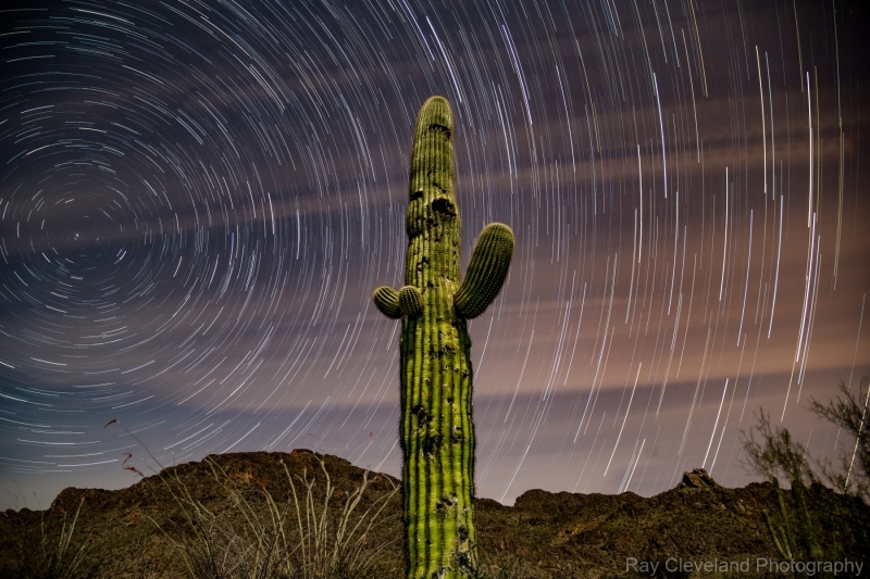 20160320-saguaro-stars-001-Edit