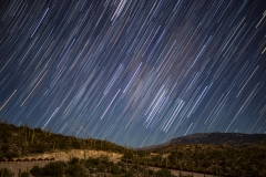 Reddington Star Trails
