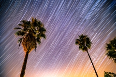 Backyard Star Trails Gemenids 2015