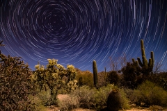 Full Moon Star Trails