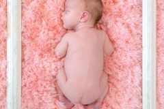 Penny Rose McDonald Newborn Shoot